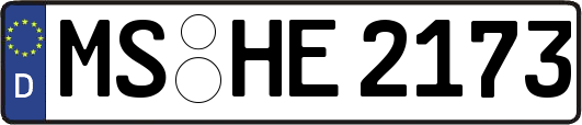 MS-HE2173