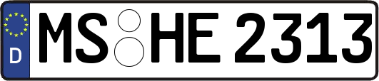 MS-HE2313
