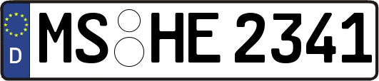MS-HE2341