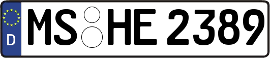 MS-HE2389