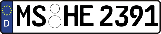 MS-HE2391