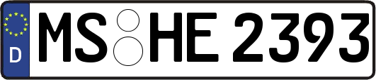 MS-HE2393