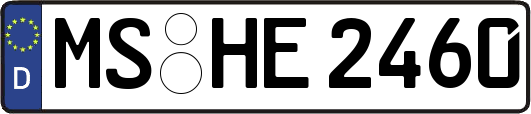 MS-HE2460