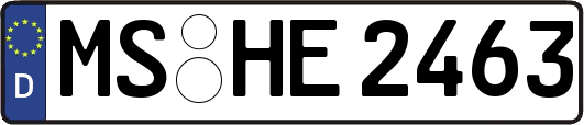 MS-HE2463