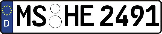 MS-HE2491