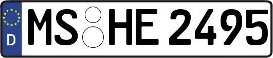 MS-HE2495