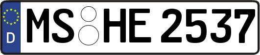 MS-HE2537