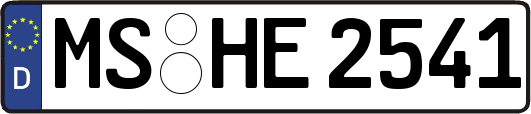 MS-HE2541