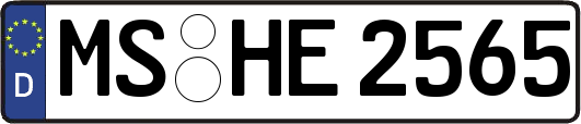 MS-HE2565