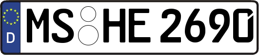 MS-HE2690