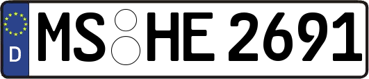 MS-HE2691