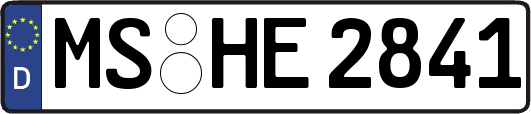 MS-HE2841