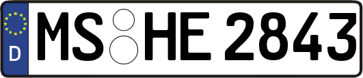 MS-HE2843