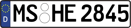 MS-HE2845