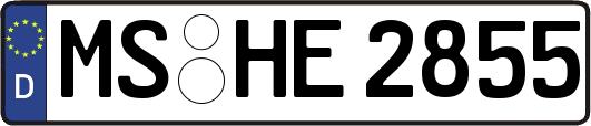 MS-HE2855