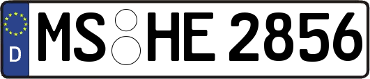 MS-HE2856