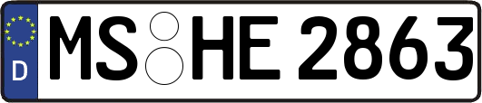 MS-HE2863