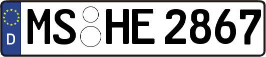MS-HE2867