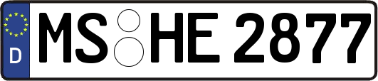 MS-HE2877