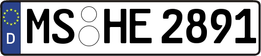 MS-HE2891