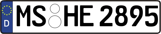 MS-HE2895