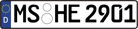 MS-HE2901
