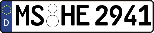 MS-HE2941