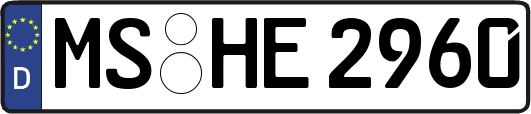 MS-HE2960