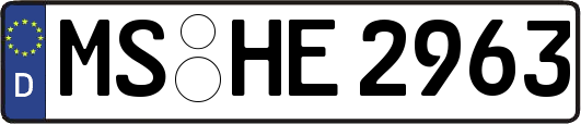 MS-HE2963