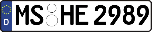 MS-HE2989