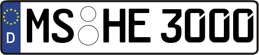 MS-HE3000