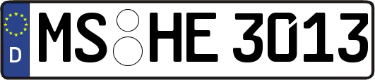 MS-HE3013