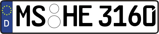 MS-HE3160