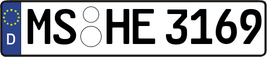 MS-HE3169