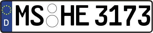 MS-HE3173