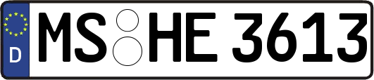 MS-HE3613