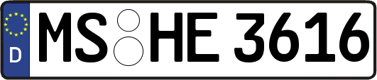 MS-HE3616