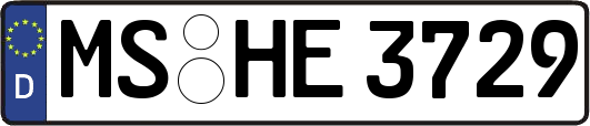 MS-HE3729