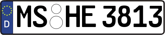 MS-HE3813