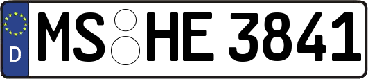 MS-HE3841