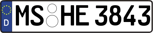 MS-HE3843