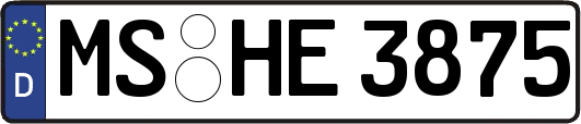 MS-HE3875