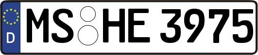MS-HE3975