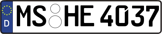 MS-HE4037