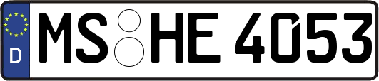 MS-HE4053