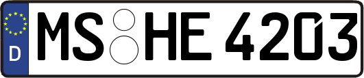 MS-HE4203