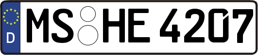MS-HE4207