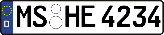 MS-HE4234
