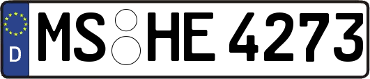 MS-HE4273