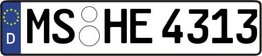 MS-HE4313